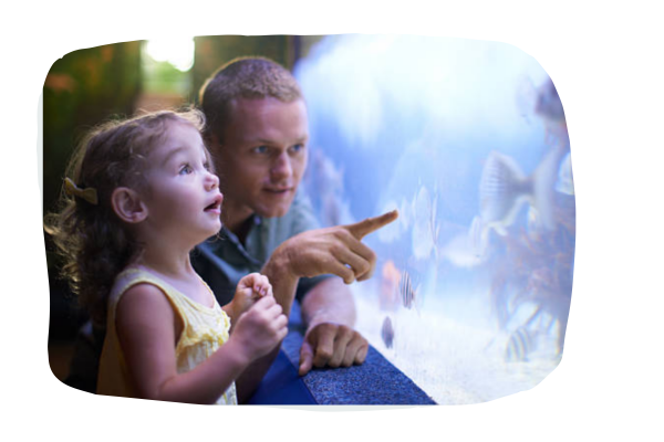 father and girl looking in aquarium tank
